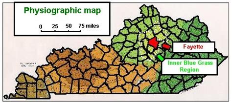 Geology of Fayette County, Kentucky Geological Survey site