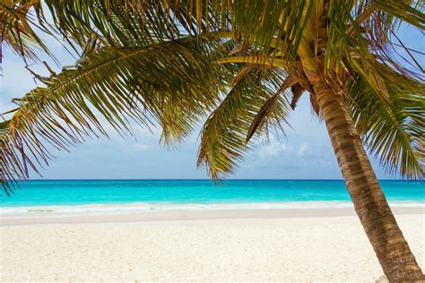 The Top 7 Little-Known Caribbean Island Vacation Destinations ...