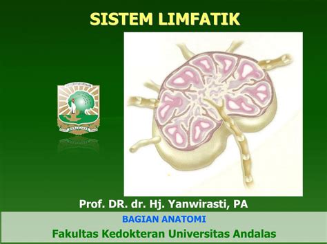 PPT - SISTEM LIMFATIK PowerPoint Presentation, free download - ID:5501627