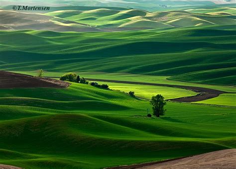 Palouse Scenic Byway – 2dnw Artisan Trail Guide