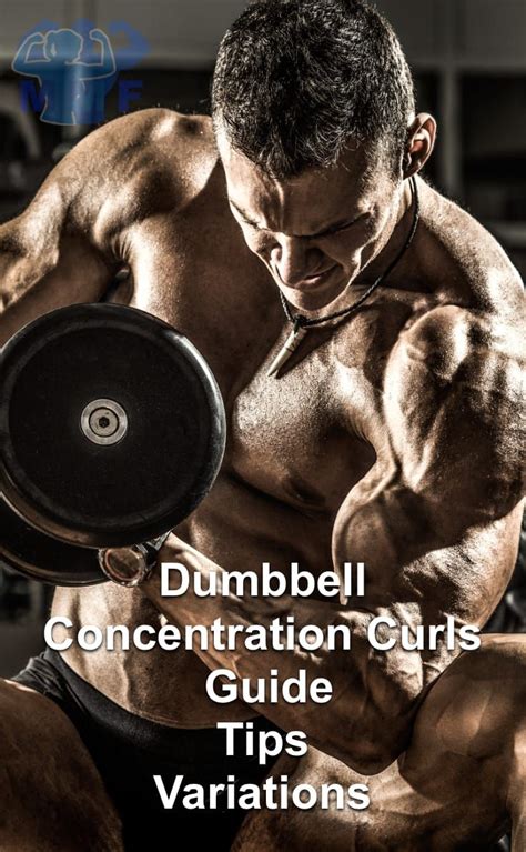 Dumbbell Concentration Curls – Form, Tips and Variations | Concentration curls, Dumbbell, Curls