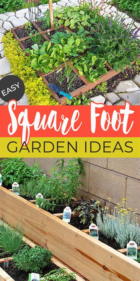 Easy Steps To Square Foot Gardening Success • The Garden Glove