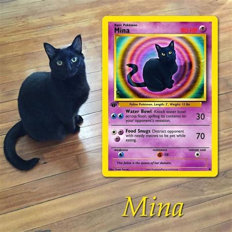 Artist Illustrates Pets Into Pokemon Cards And They Look Absolutely ...