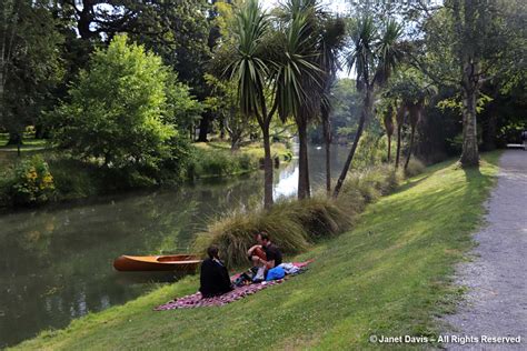 Avon River-picnic-Christchurch Botanic Gardens | Janet Davis Explores Colour