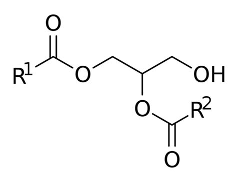 Diglyceride ~ Everything You Need to Know with Photos | Videos