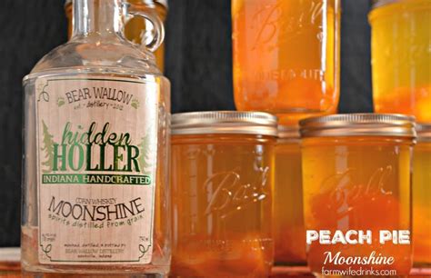 11+ Amazing Flavored Moonshine Recipes