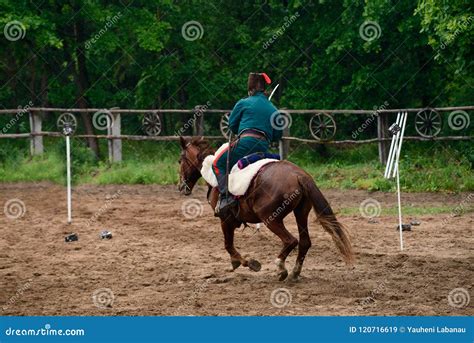 Cavalryman on horseback stock image. Image of outdoors - 120716619