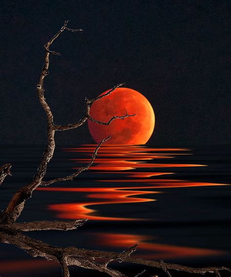 Reflection Photography | Blood Moon Reflection – Photography by Stephen Warren | Sunsets ...