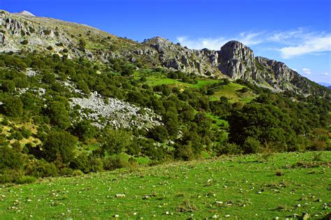 Mediterranean forest | Parque Natural de Sierra Mágina, Jaén… | Hugo ...