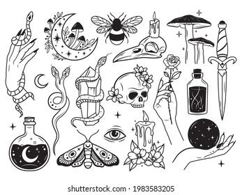 59,997 Witch Hands Stock Vectors, Images & Vector Art | Shutterstock