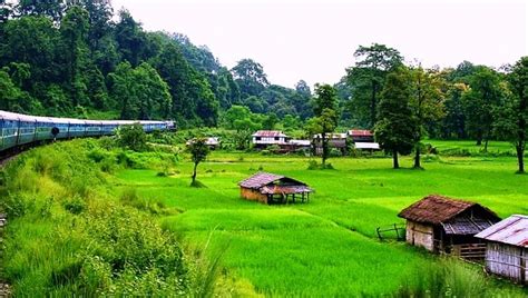 Hotel Dreamland Lataguri: The best way to explore the forests of Dooars