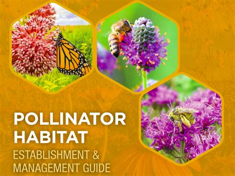 Pollinator Habitat Establishment & Management Guide - Rights-of-Way as Habitat Working Group