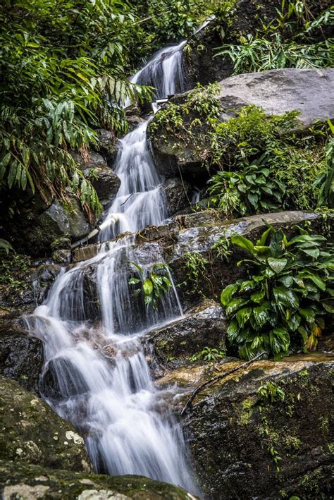 Rio De Janeiro Waterfall in Tijuca Forest Stock Photo - Image of brasil ...