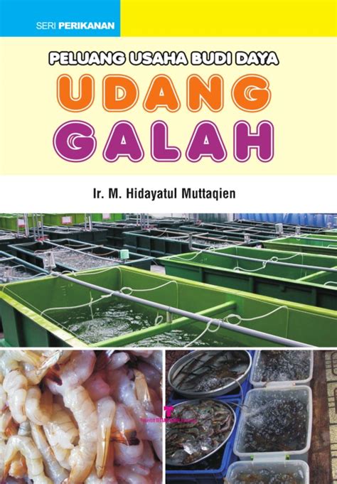 Peluang Usaha Budidaya Udang Galah - Titian Ilmu