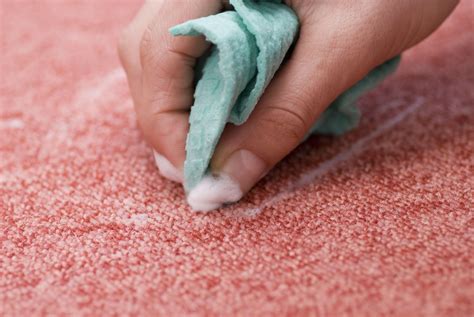 The 11 Best Eco-Friendly Carpet Cleaners of 2021