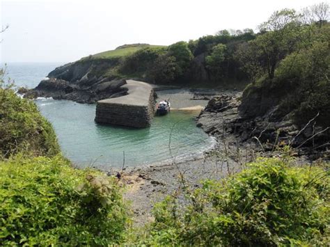 The Pembrokeshire Coast Path at Stackpole Quay Photo | UK Beach Guide