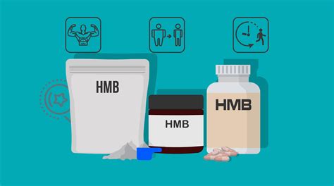 5 Best HMB Supplements (2024) | Powder And Capsules