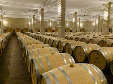 Best Winery in Moldova You Should Visit [Winery Tour in Moldova]