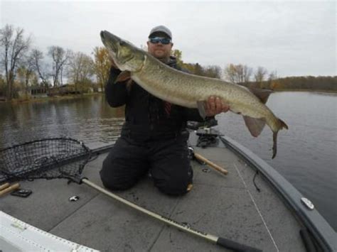 3 Best Musky Nets (Great Picks for All Budgets)