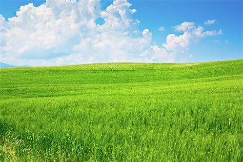 Beautiful Outdoor Green Field View With Photograph by Zonecreative - Fine Art America