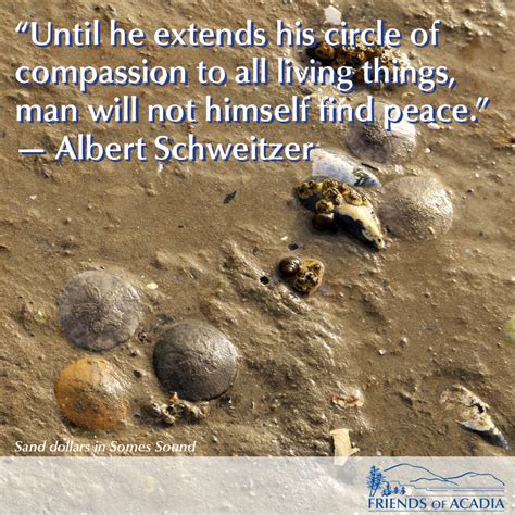 Friday Quote: Albert Schweitzer - Friends of Acadia