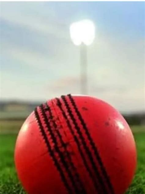 3 Popular Types Of Cricket Balls | Times Now