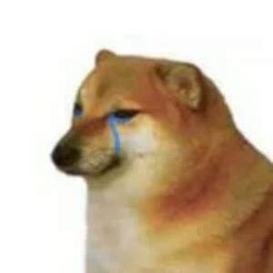 Swole Doge and Crying Cheems 2/2 (Crying Cheems - Discord Pfp