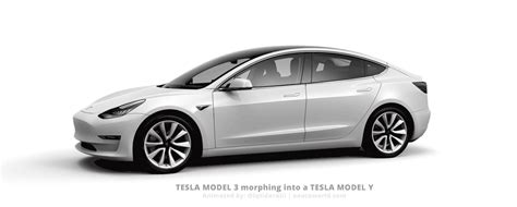 Tesla Model Y & Model 3 Visual Comparison — Side by Side, Morphing ...