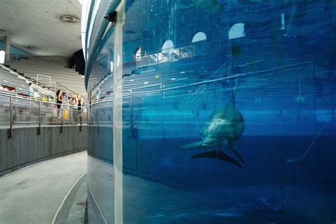 At Baltimore's National Aquarium, Climate Change Presents Challenges Inside And Out : NPR