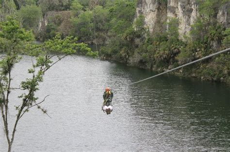 The Canyons Zip Line and Canopy Tours (Ocala, FL): Hours, Address, Top ...