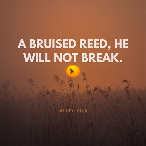 A bruised reed