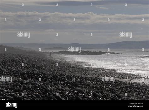 Person walking their dog on the beach Stock Photo - Alamy