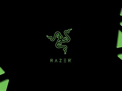 3200x2400 Resolution Razer Gamer Logo 3200x2400 Resolution Wallpaper ...