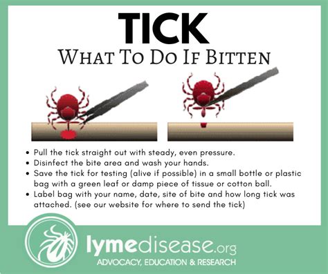 Help! I've gotten a tick bite. Now what do I do?