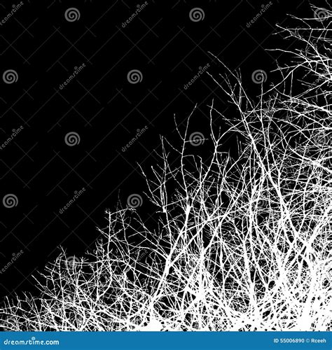 Leafless stock illustration. Illustration of ghostly - 55006890