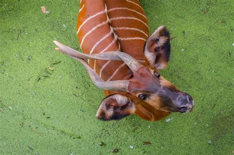 What?! Photo by Elizabeth Flora Ross — National Geographic Your Shot ...