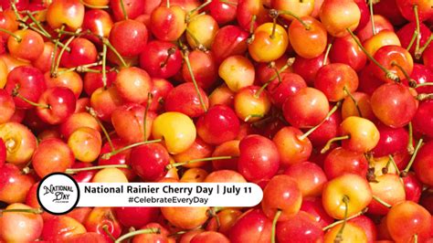 JULY 11, 2024 | ALL AMERICAN PET PHOTO DAY | NATIONAL RAINIER CHERRY ...