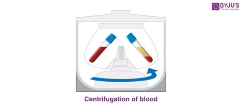 Centrifugation - Centrifuge Definition, Centrifuge Machine, Examples