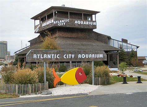 Atlantic City, New Jersey: Atlantic City Aquarium photo, picture, image