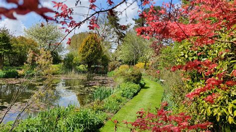 Gallery Gardens - The Priory Hotel Wareham