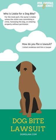 Dog Bite Lawsuit in Ohio by Dyer, Garofalo, Mann, & Schultz - Issuu