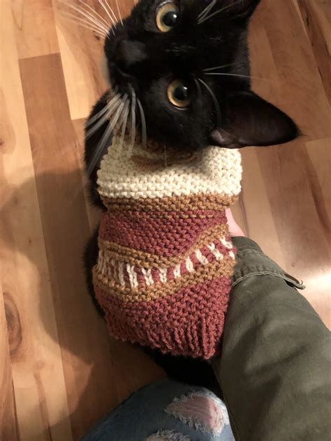 I’m learning to knit by making my cat sweaters : r/knitting