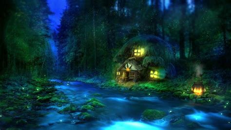 Calm Night in Forest Live Wallpaper