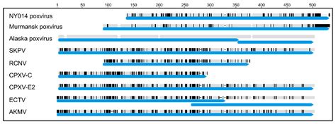 Viruses | Free Full-Text | Genome of Alaskapox Virus, a Novel ...