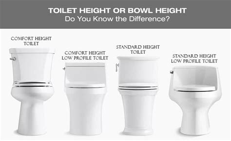 Toilet Height - Let's Clear Up the Confusion