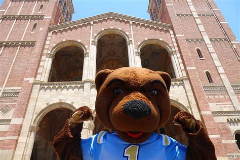 Photo | UCLA mascot Joe Bruin at Royce Hall | UCLA