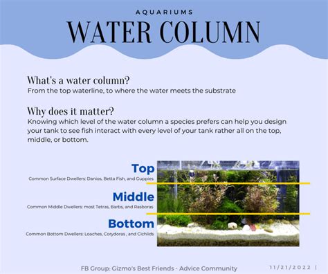 What is a water column? : r/simpliguide