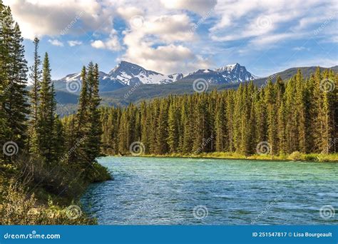 River Flowing through the Mountains and Trees Stock Image - Image of ...