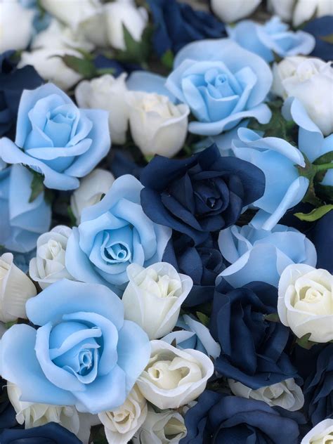 baby blue roses meaning - Make A Major Record Efecto