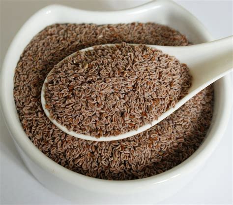 Plantago Ovata Seeds ( Plantaginis ovatae semen ) 100g Health Embassy ...